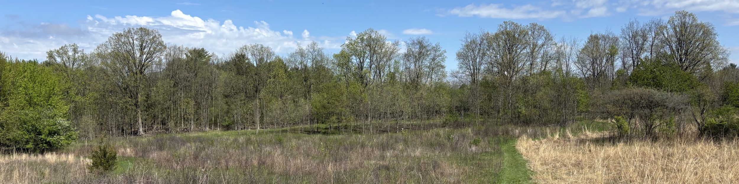 Friends of Greenview and Pioneer Nature Area