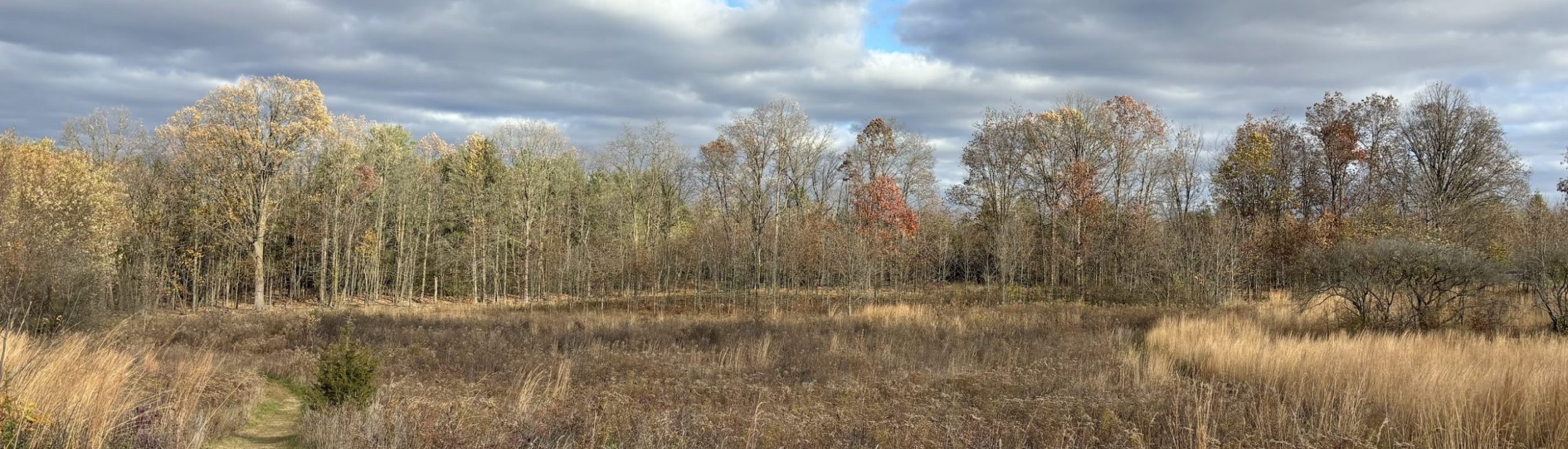 Friends of Greenview and Pioneer Nature Area